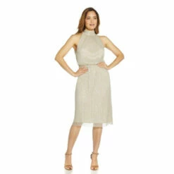 Adrianna Papell Metallic Mesh Midi Dress For Female