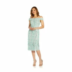 Adrianna Papell Embroidered Off Shoulder Dress For Female